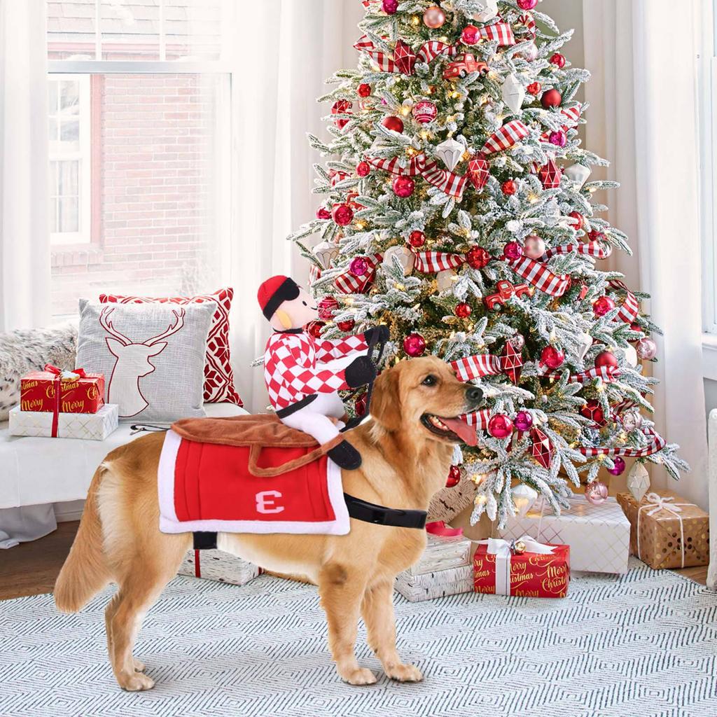 Husdjursdräkt för jul Ridsadel Riddare Hundkläder
