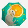 1pc Cat Orange Automatic Open/close Umbrella, 8-Rib sturdy structure, Portable Travel Umbrella, Parties, Everyday Use, Outdoor Accessory, Ar