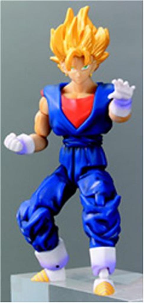 TAMASHII NATIONS New Super Warrior Encyclopedia Super Saiyan Vegetto Vol.6
