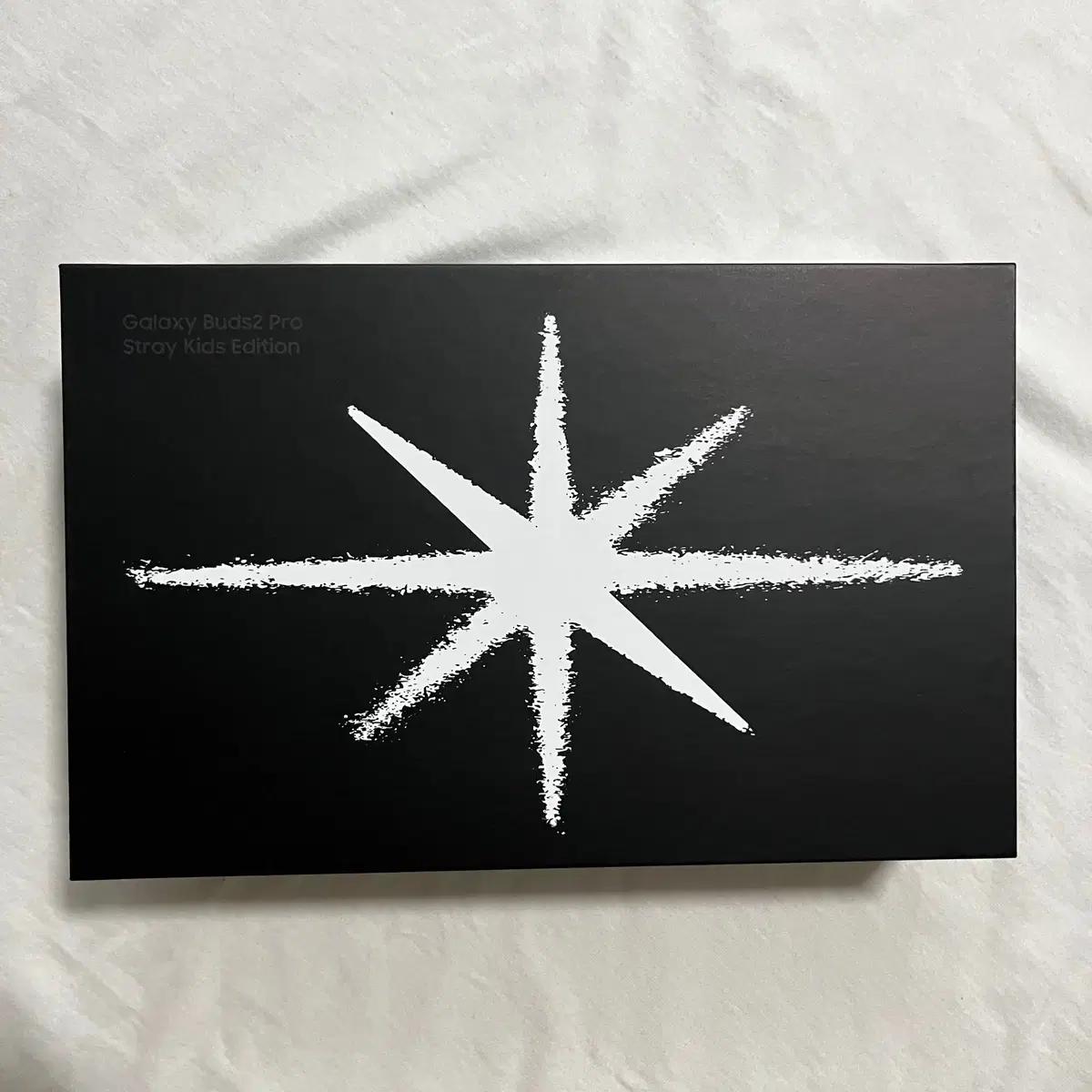 

Stray Kids Galaxy Buds 2 Pro и чехол