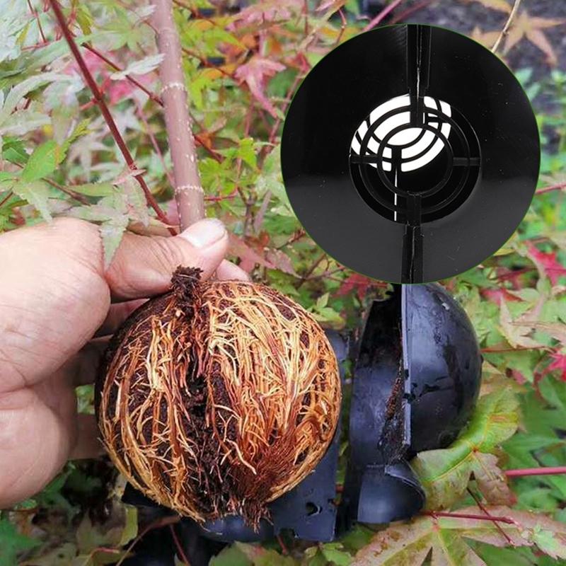 5PCS Plant Rooting Box Grafting Grow Balls High-pressure Propagation  Balls Reusable Plant Rooting Box Garden Graft Supplies
