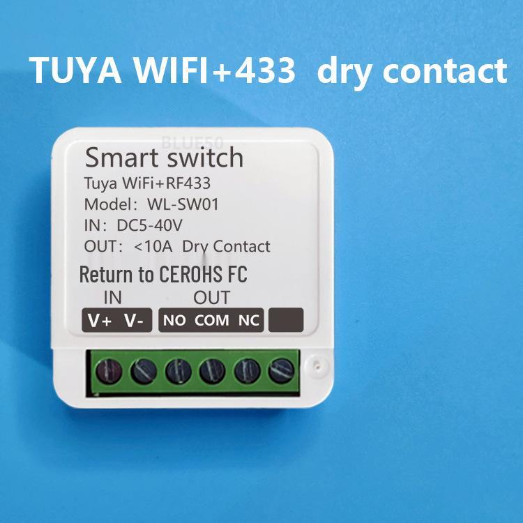 Tuya WiFi Smart Switch: 12V/24V Constant Voltage with WiFi and 433 Remote Control for Door Lock or Light Modification