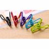 10pcs PP Excellent Quality Stainless Steel Clothes Peg Towel Sock Clip Pant Clothes Underwear Clips Small Metal Clips for Hanger