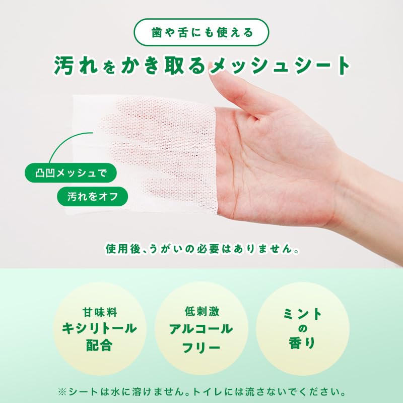 LEC Pocket Etiquette Portable Toothbrushing Sheets Made in Japan For and Illness Contains Xylitol Mint Scent (10 Sheets) / Disasters, Travel, / /