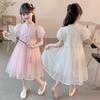 Girls' mesh dress, baby princess dress, 2026 new women's summer dress, stylish and sweet little girls' dress, fairy