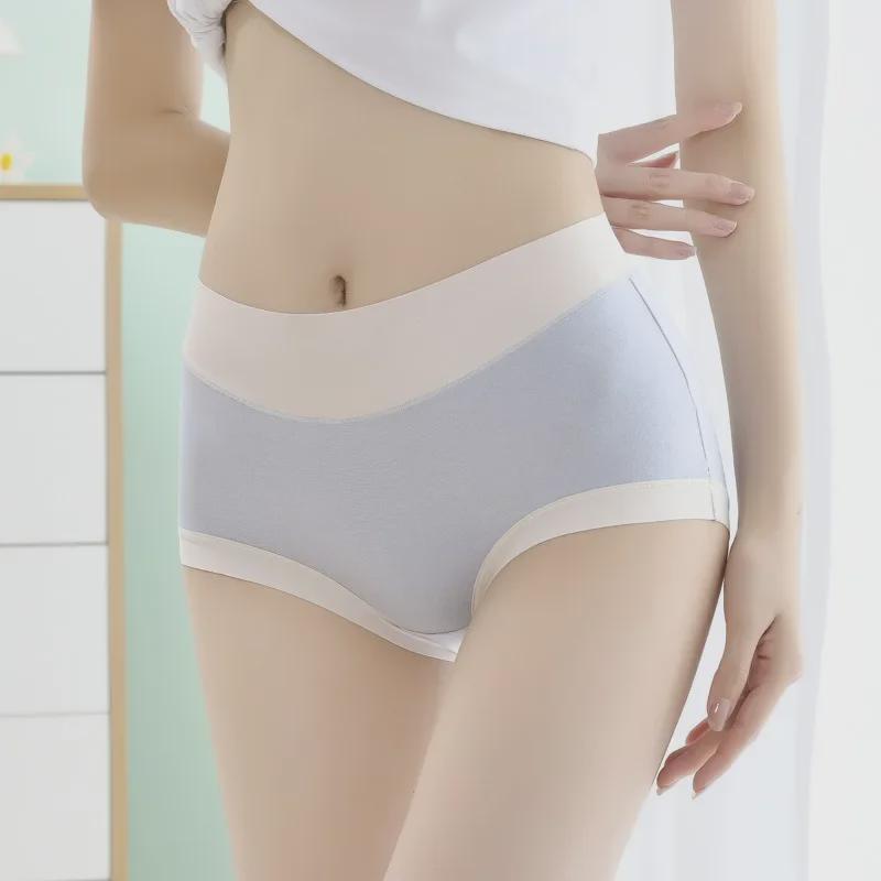 Damen Hochelastische Baumwoll-Modal-Slips mit mittlerer Taille - Bauchkontrolle & Atmungsaktives Design