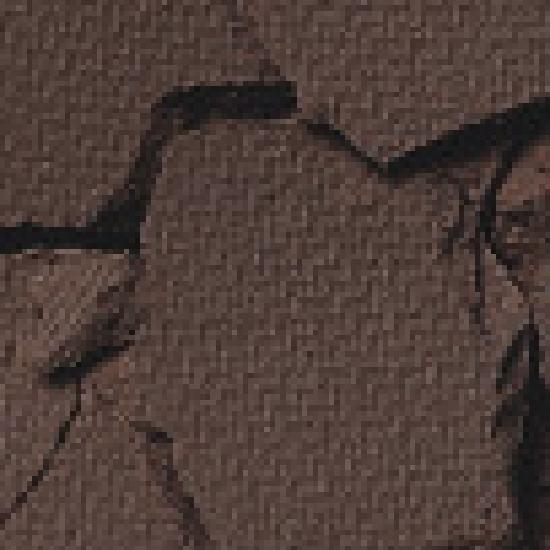 HOLIKA HOLIKA My Favorite Peace Eyeshadow/Gel Tail/Peace Beam/Peace Balm