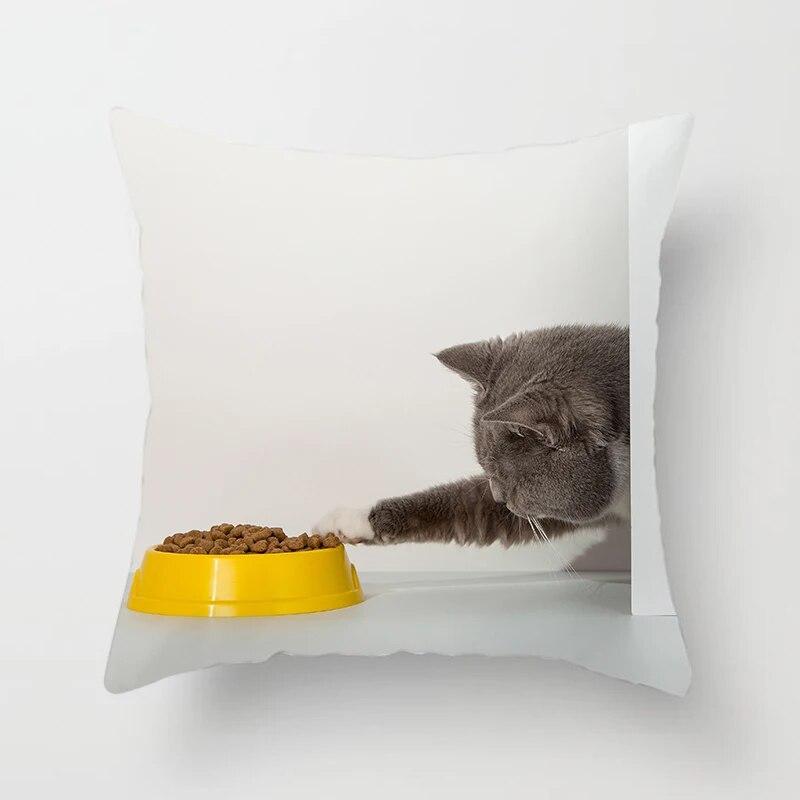 Home Decor Witchcraft Cat Stealing  Cushion Cover Cute  Sofa Car Decoration 45x45cm Pillowcase Square Polyester