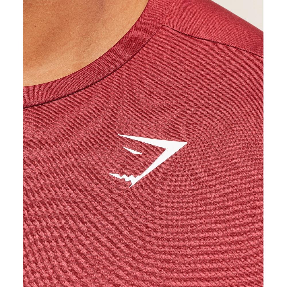 Gymshark Arrival Regular FiT T shirT aThleTic Burgundy A2a1j Rb6y