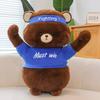 Latest Fighting Bear Doll Kawaii Stuffed Plush Toy Doll Cartoon Anime Cute Pillow Children's Birthday Gift Fun Christmas