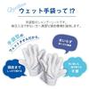 Shikoku Paper Sales Waterless Foamless Shampoo Wet Gloves Gloves Per Fruity Floral Co., Ltd. (2 Pack) 10-pack
