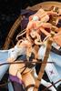 Macross F: The Movie - The Itsuwari no Utahime Sheryl Nome 1/7 Scale PVC Painted Finished Figure