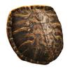 Cuscino a Forma di Tartaruga da Indossare 40 Pollici Peluche Morbido Portatile Cuscino per Pisolino Confortevole Cuscino Costume da Tartaruga