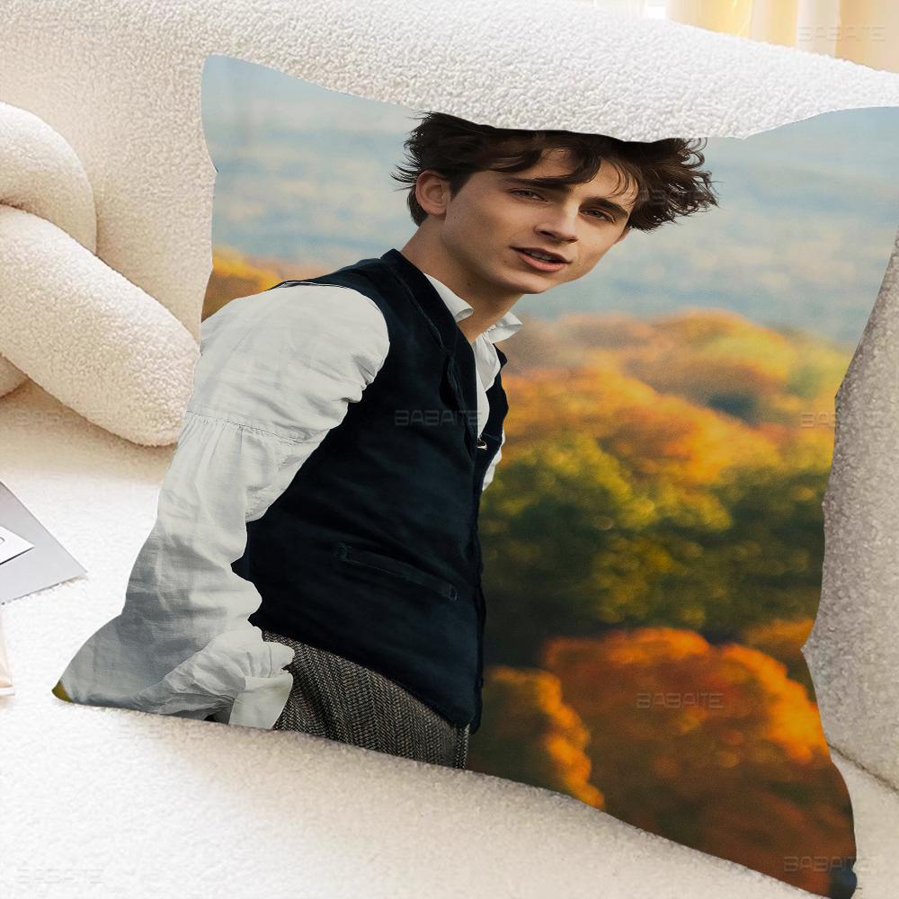 T-timothee C-chalamet Cushion Cover Pillowcase Upholstery Sofa Throw Pillow Home Decor Pillowcas