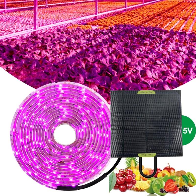 Buy 5M 20W Solar Panel LED Grow Light Full Spectrum 5V Grow Light Strip