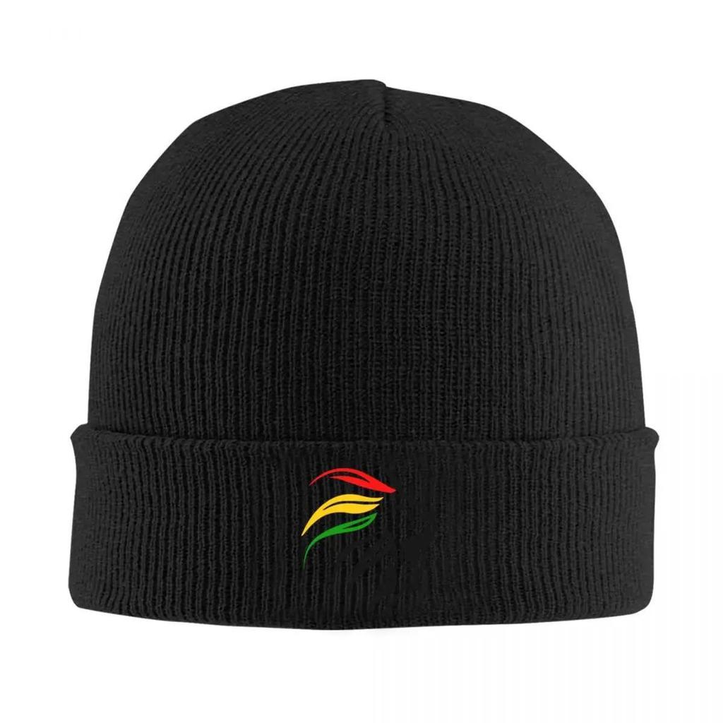 Cool Rasta Lion Of Judah Art Dreadlock Rastafari Knit Hat Beanie Autumn Winter Hats Warm Hip-hop Caps for Men Women