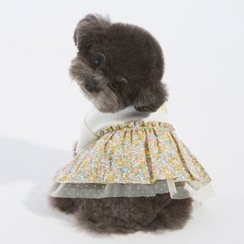 MIMINKO Liberty T-shirt Frill Dress [DW3SO1070]