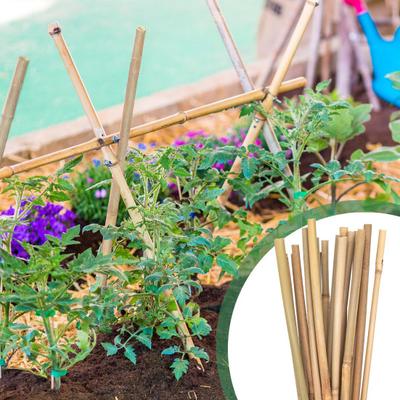 20 Pcs Bamboo Plant Support Stakes Reusable Garden Stakes Natural Bamboo Sticks Support Poles for Orchid Tomato