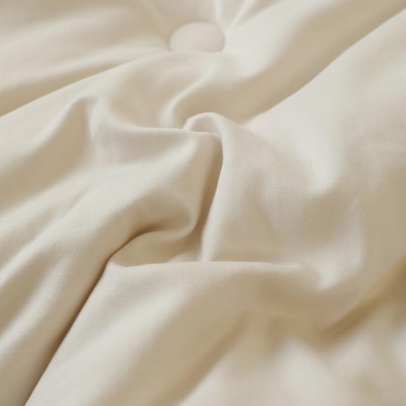 Southern Living 7A Antibacterial Skin-Friendly Winter Quilt