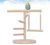 Bird Toys Bird Plays Stand Parrot Station Stand Tree Branch Parrot Playstand Cockatiel Playground Wooden Perch Gym Playground