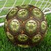 Steampunk Insect Jungle Round Football Size 5 Adult Ball Suitable for Training Matches and Outdoor Team.