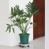 Plant Rollers With Wheels Swiveling With 100kg Capacity Rolling Plant Pot Stand Indoor For Living Room Dining Room Porch Cafe
