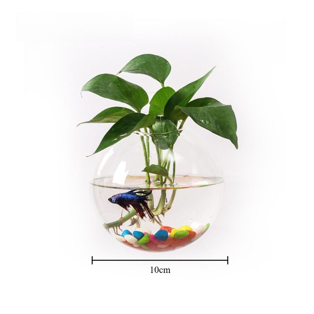 

Wall Mounted Spherical Glass Vase Hydroponic Plant Glass Bottle Home Decoration Microlandscape Container for Home Decor