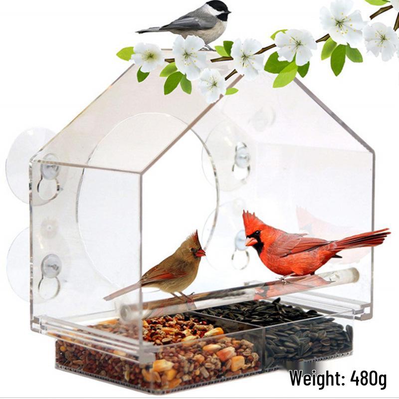 Clear Acrylic Wall-Mounted Bird Feeder with Suction Cups