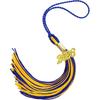 2026 Tassel Graduation, Blue and Gold Graduation Tassel, 2026 Graduations Cap Tassels, Gradutate Cap Tassels with 2026 Year Gold Charms for Grad Cap