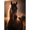 Handsome Horse Wild Animal Poster Horses Portrait Photography Canvas Painting Modern Wall Art  for Living Room Home Decor Mural