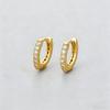 925 Sterling Silver Shiny Crystal Hoop Earrings For Women Fashion Luxury Minimalist Round Earrings Classic Jewelry Party Gifts