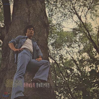Hanam Seok - Debut Album Carried by the Wind [LP]