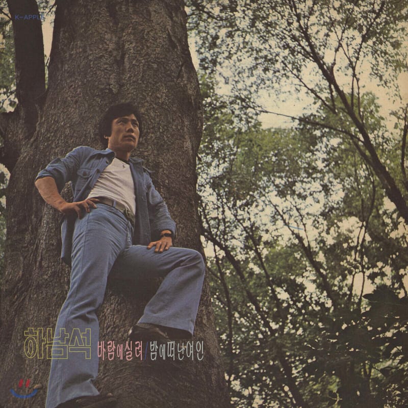 

Hanam Seok - Debut Album Carried by the Wind [LP]