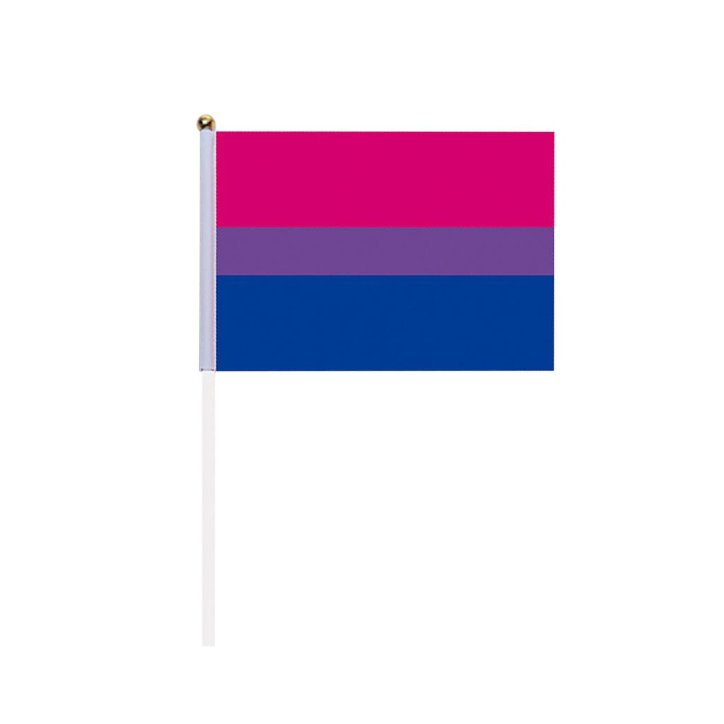 LoveVC Rainbow Pride sada vlajek s vlajkou malá ruční vlaječka 5x8 palců