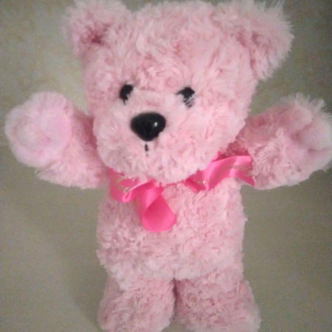 

[USED] The teddy bear that JK used