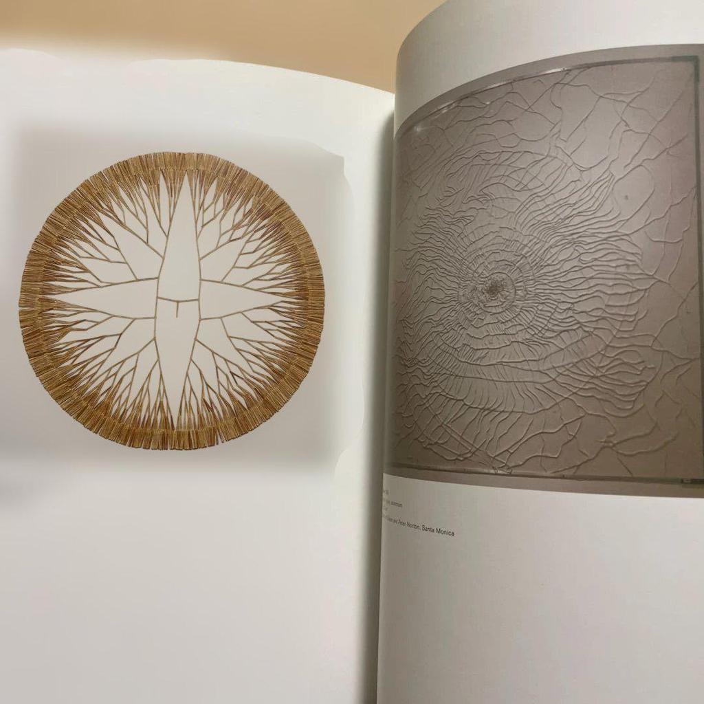 [USED] Tim Hawkinson Collection - Foreign Books
