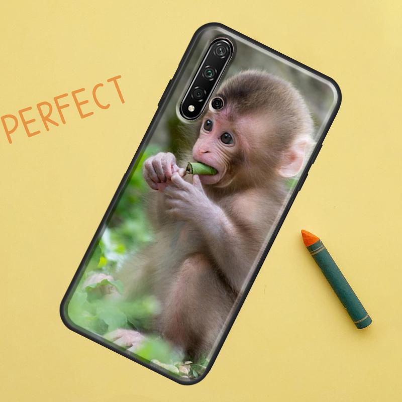 Cute Baby Monkey Animal For Huawei Nova 8i 12i 11i 12s Y73 Y72 Y61 Y91 Y90 Y70 Y60 9 10 SE P30 P40 Lite P60 Pro Case
