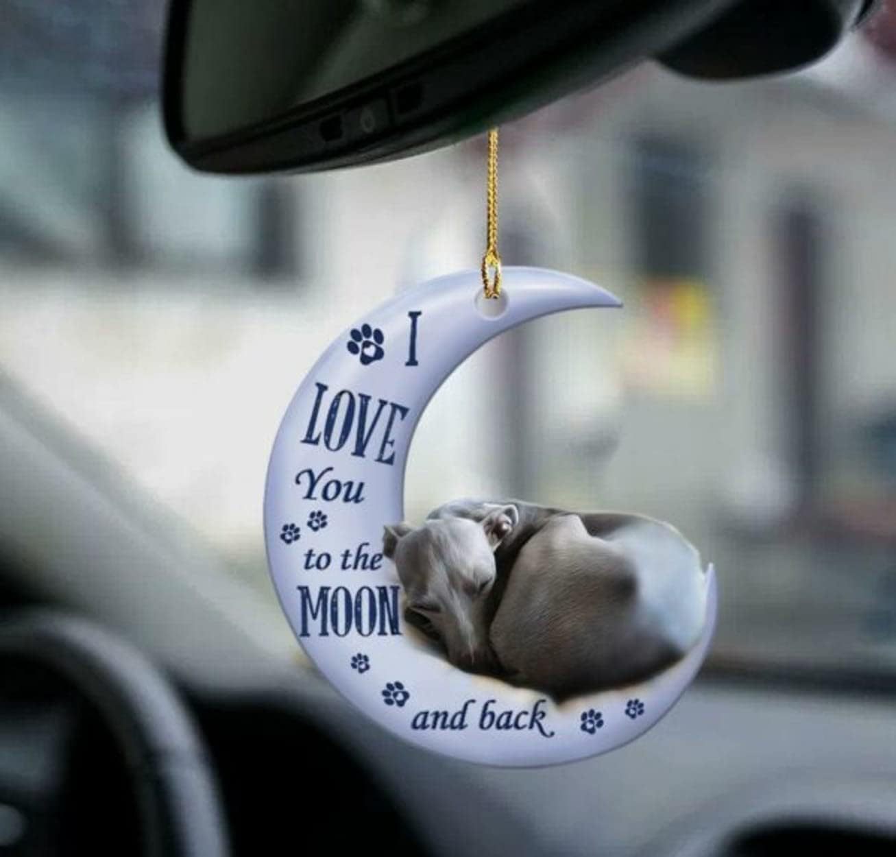 

Акриловая плоская луна, животное, домашнее животное, динозавр, автомобиль, зеркало заднего вида, подвеска, индивидуальное украшение, автомобильный кулон