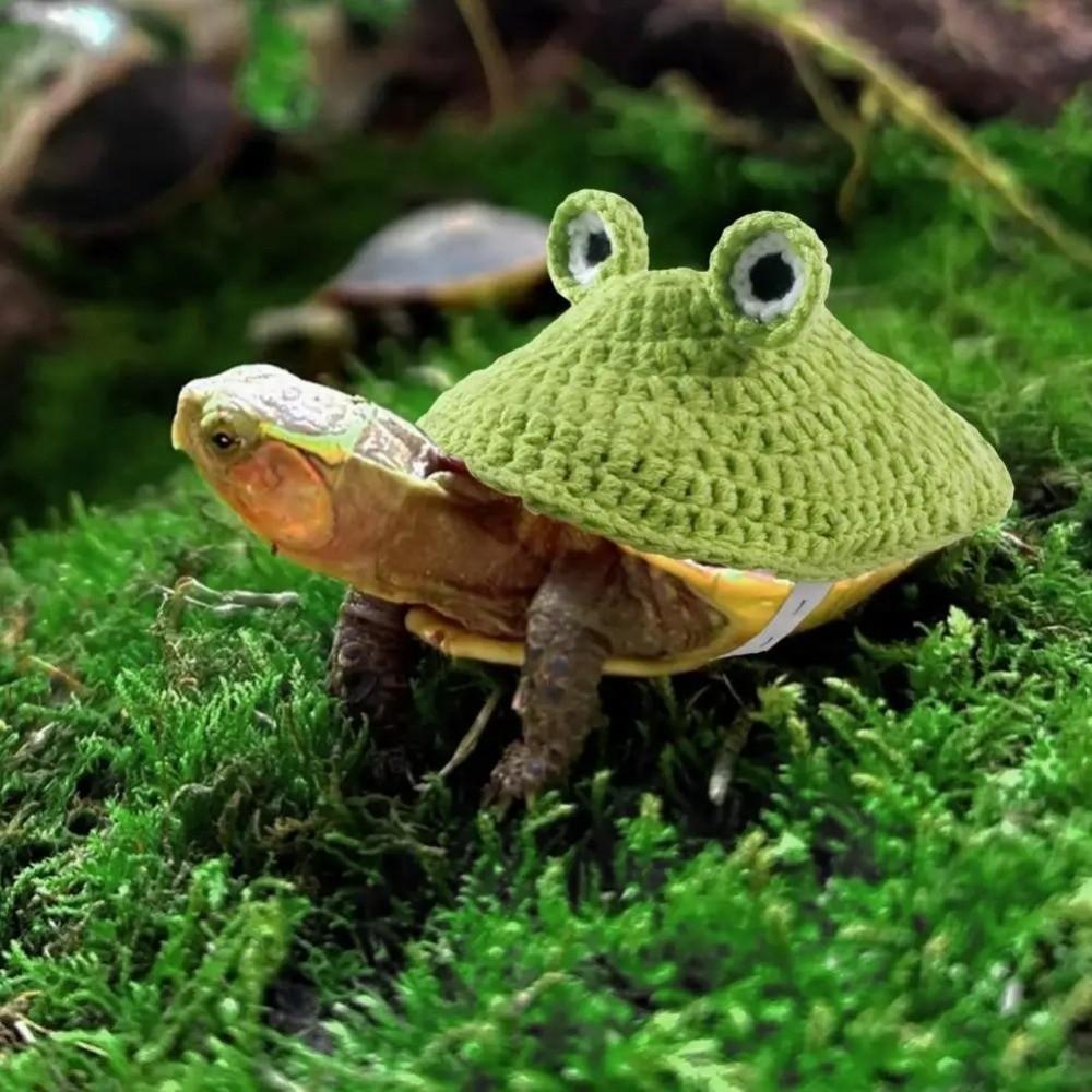 Knitted Pet Tortoise Clothes Frog Pet Turtle Outfit Fashion Small Animal Apparel  Tortoises Supply