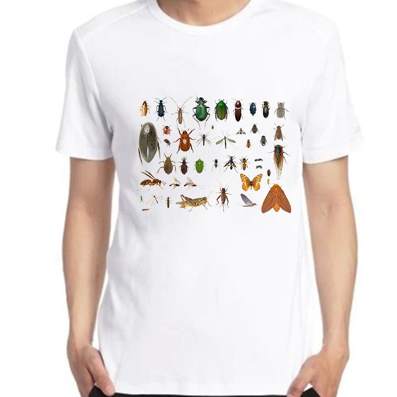 Unisexs Entomology Graphic Tshirt Collection Of Insects Illustration Oversized Cotton Short Sleeve Casual Bug Clothing