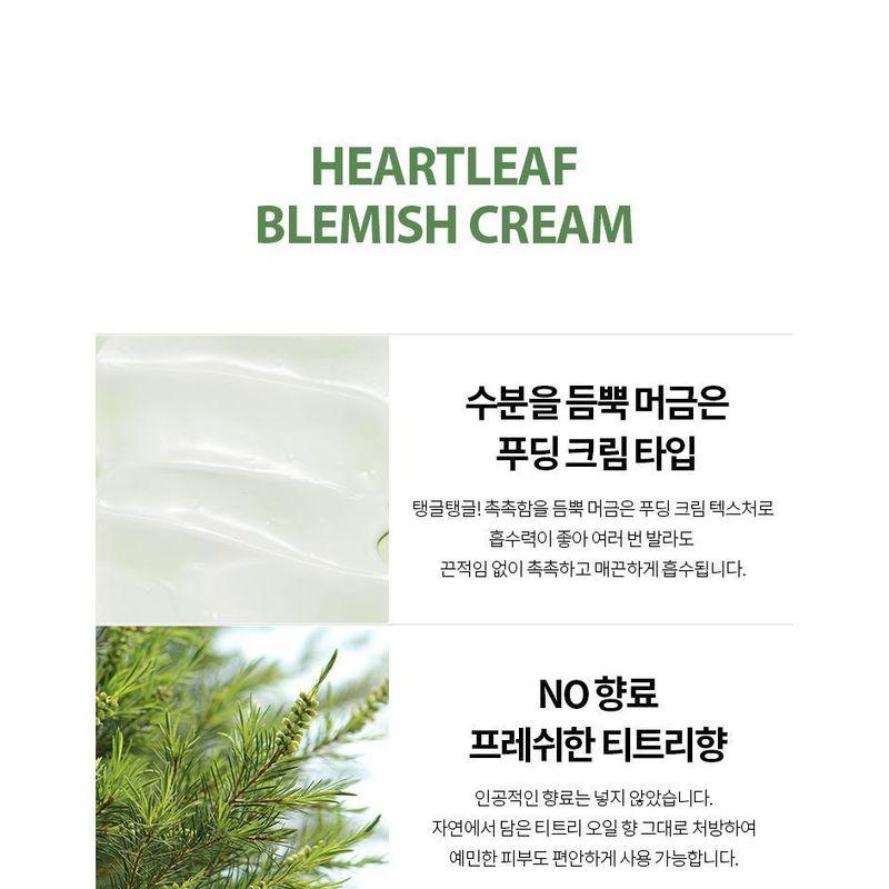 Fraijour - Heartleaf Blemish Feuchtigkeitscreme