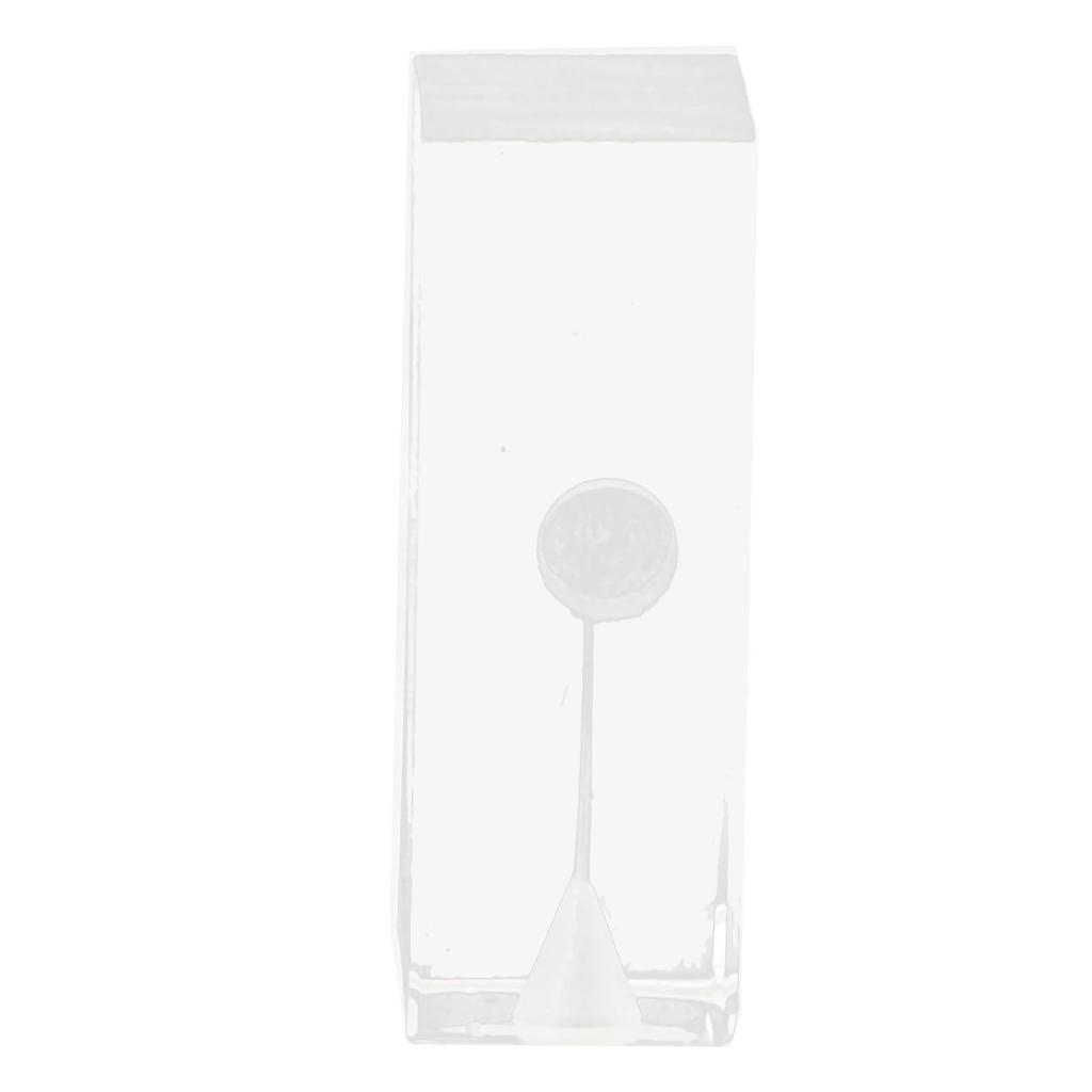 Root Canal Exercise Block Acrylic Transparent Clear Display Curved Oral Endodontic Root Model