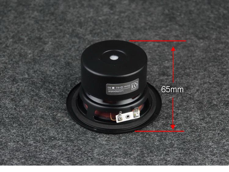 4-Inch Full-Range Speaker - Audiophile Quality for Vocals & Instruments - Excellent High, Mid, Low Frequencies | Ruifan Acoustics