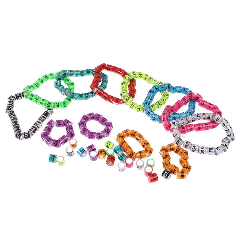 20 Pcs Pigeon Foot Ring With Word Earrings 2021 Multicolor Bird Tools