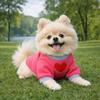 Comfortable Dog Love Hoodie Thickened Cat Love Clothing Cute Cat Sweater  Autumn Winter