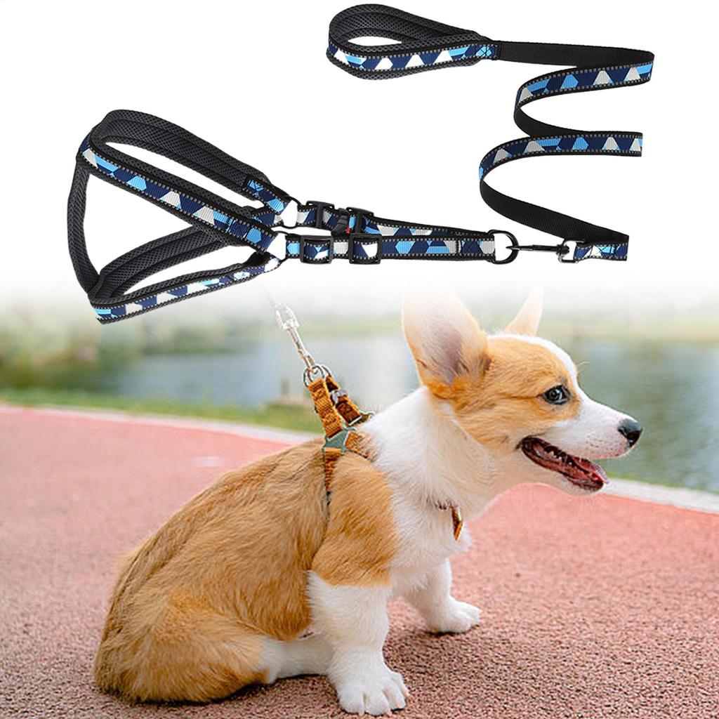 Rope For Dogs Reflective Shockproof Walking Traction Training Lead Rope Dog For Hiking Camping Running Trip Outdoor Travel