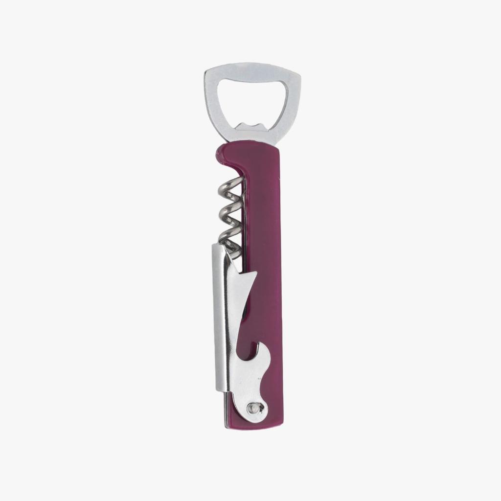 Bouteille portable personnalisable en acier inoxydable et tire-bouchon