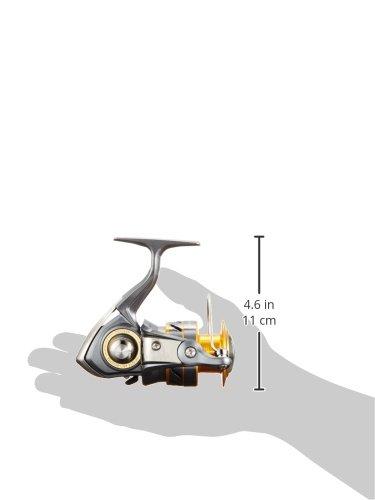 Daiwa 17 World Spin CF 3000 Spinning Reel (2017 Model)