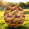 Brisbane Broncos Size 5 Sports Training Ball Shock Absorbing Durable Ball For Match Daily Practice Outdoor Activities