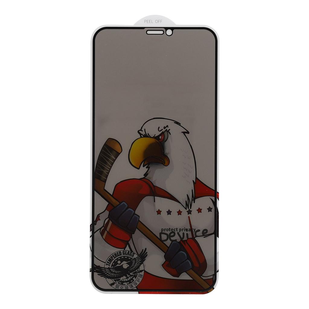 Tempered Glass Anti Peep Screen Protector Mobile Phone Screen Film for iPhone X XS 11Pro